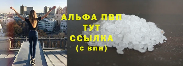 прущие грибы Михайловск