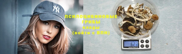 прущие грибы Михайловск