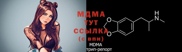 прущие грибы Михайловск