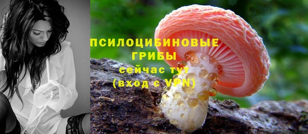 марки lsd Михайлов