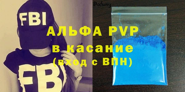 прущие грибы Михайловск