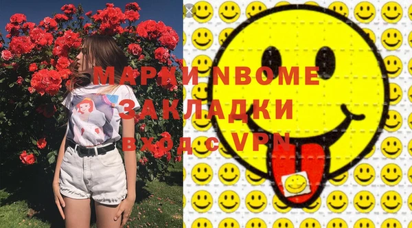прущие грибы Михайловск