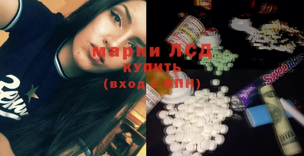 прущие грибы Михайловск