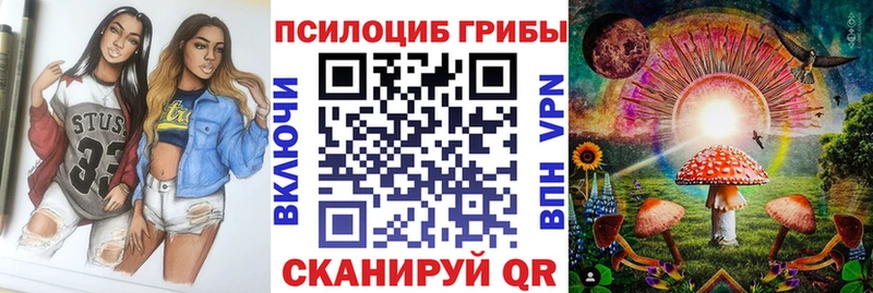 Галлюциногенные грибы Psilocybe  Миллерово 
