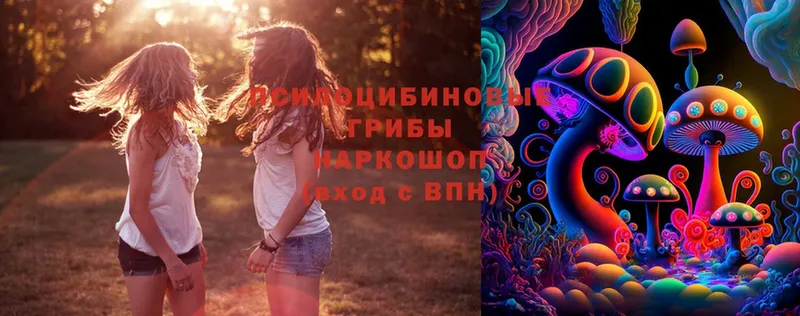 MEGA ТОР  Миллерово  Псилоцибиновые грибы MAGIC MUSHROOMS 