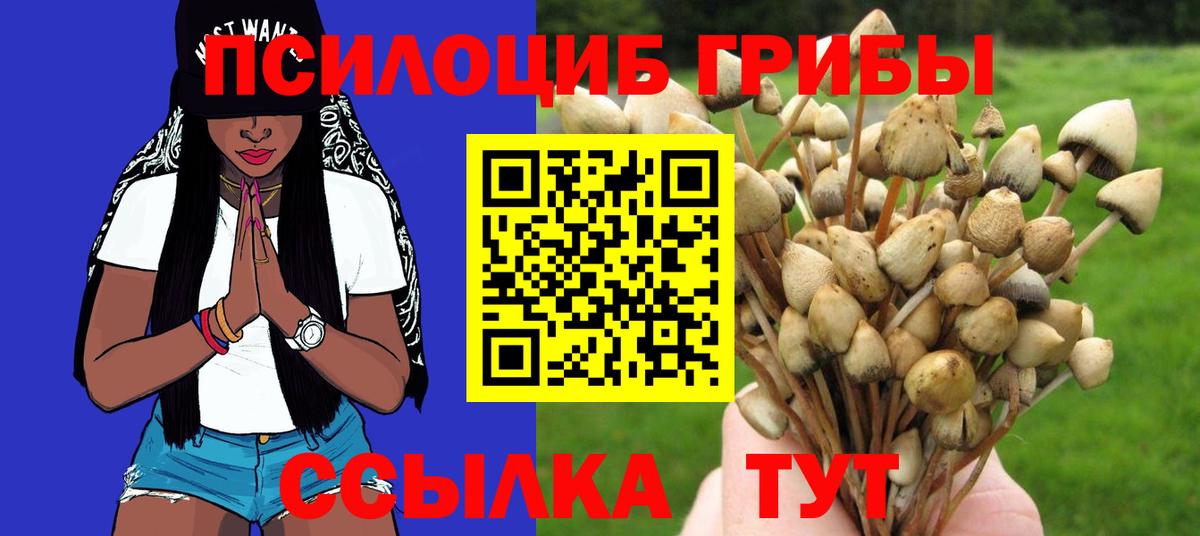 Миллерово  Галлюциногенные грибы Cubensis  Псилоцибиновые грибы Cubensis  купить наркотики цена  Вход с VPN 
