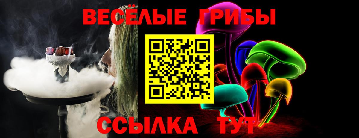 Галлюциногенные грибы GOLDEN TEACHER Миллерово
